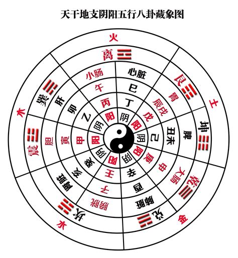 二十四山阴阳|原 】 罗盘中二十四山的阴阳五行属性及方位